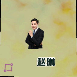 赵琳